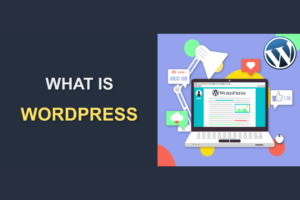 Read more about the article A Beginner’s Guide to the  Website Platform:What is WordPress?