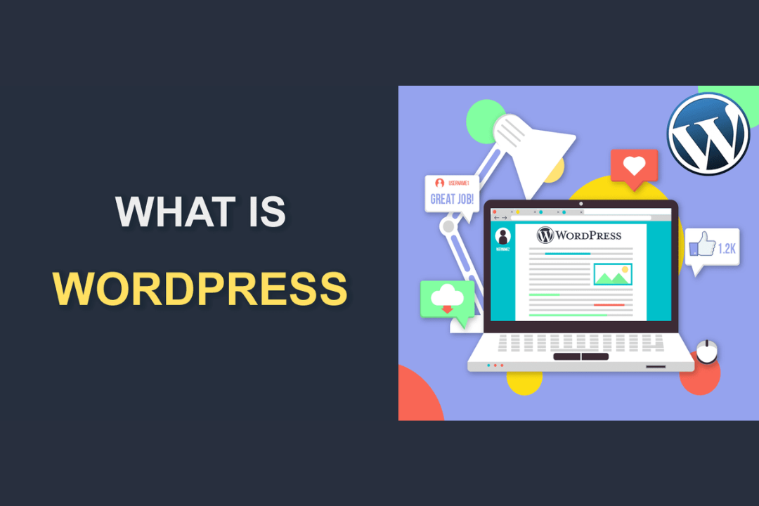 You are currently viewing A Beginner’s Guide to the  Website Platform:What is WordPress?