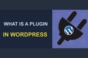 Read more about the article What Are WordPress Plugins? A Comprehensive Guide