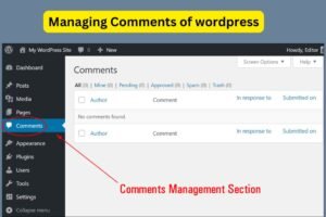 Read more about the article How to Manage Comments in WordPress:Step-by-Step Guide