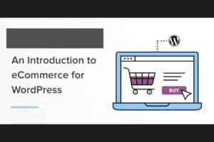 Read more about the article WooCommerce Essentials:Guide to E-commerce with WordPress