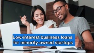 Read more about the article Low-Interest Business Loans for Minority-Owned Startups Today